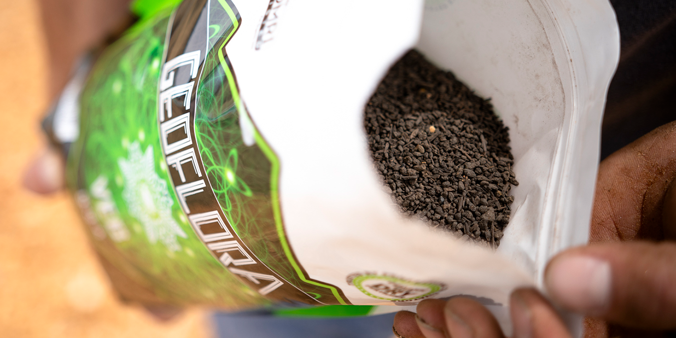 Bag of Geoflora