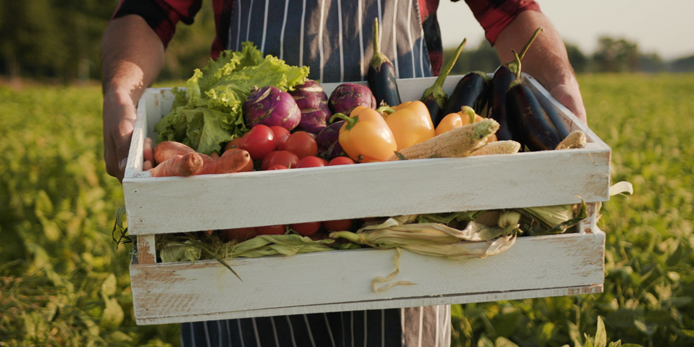 Person holding wooden box of beautiful vegetables