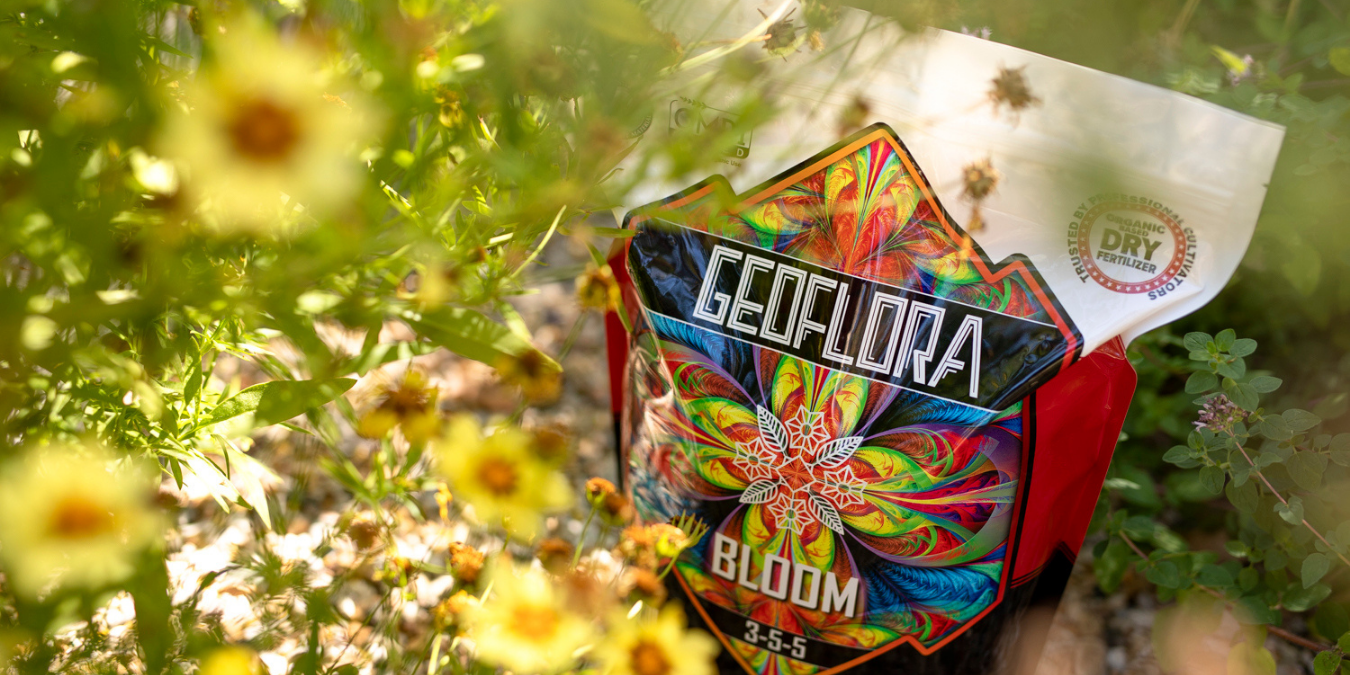 Boost your yield with Geoflora Bloom