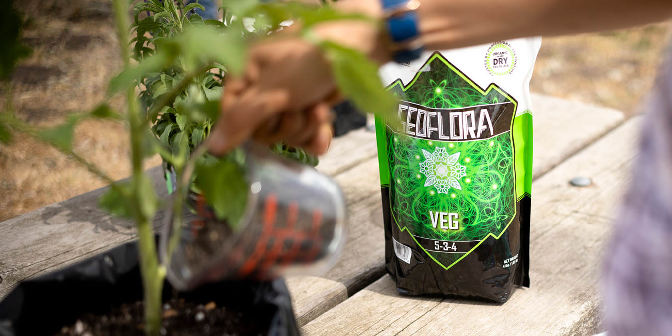 Geoflora for cannabis