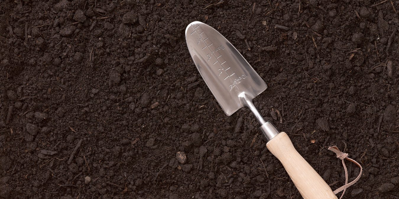 shovel on soil