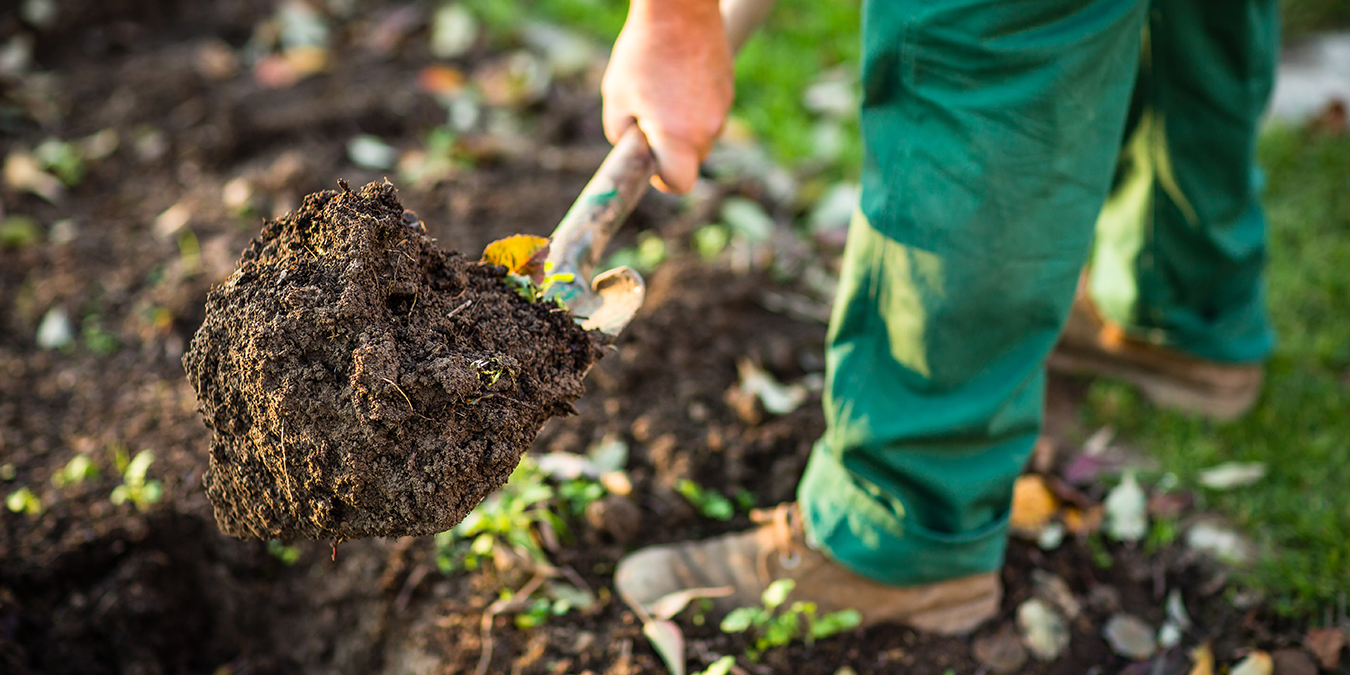 Person digging in healthy garden soil