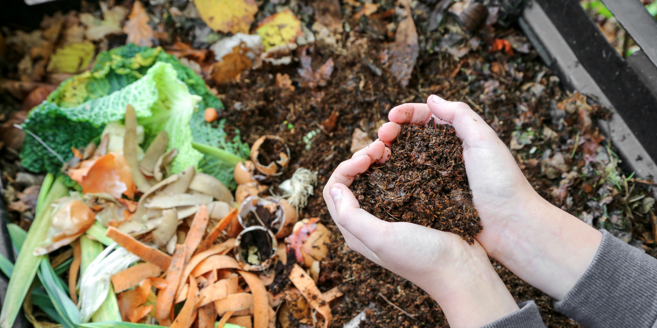 Hand holding composted soil over a compost bin
